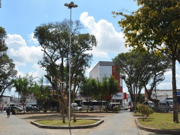 Presidente da Câmara propõe à Prefeitura plantio de árvores frutíferas em toda a cidade