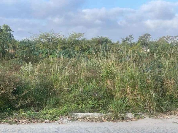 Uso social de terrenos abandonados é debatido na Câmara e ganha apoio de vereadores